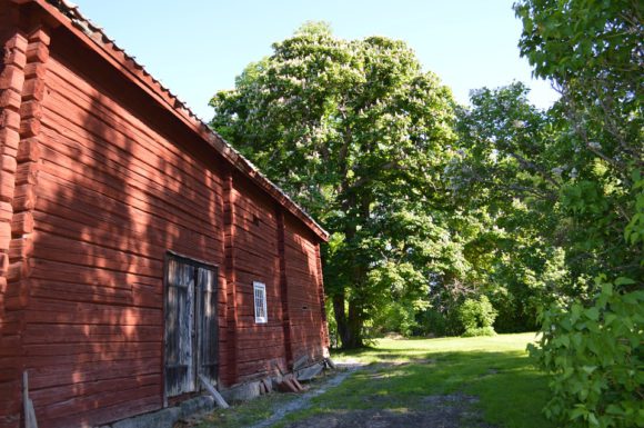 Kultur i Falun