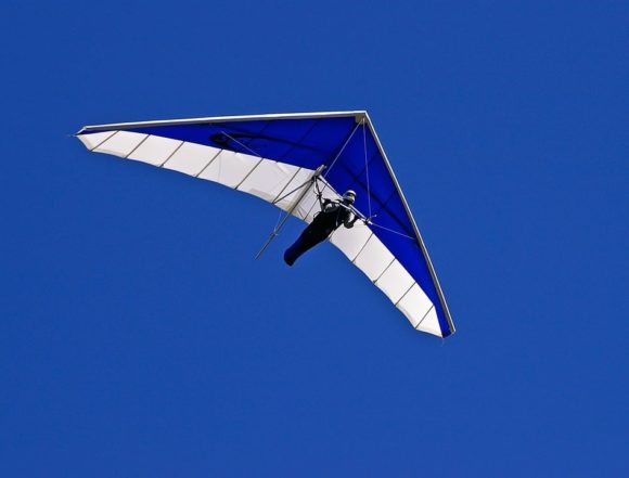 grona-flygresor